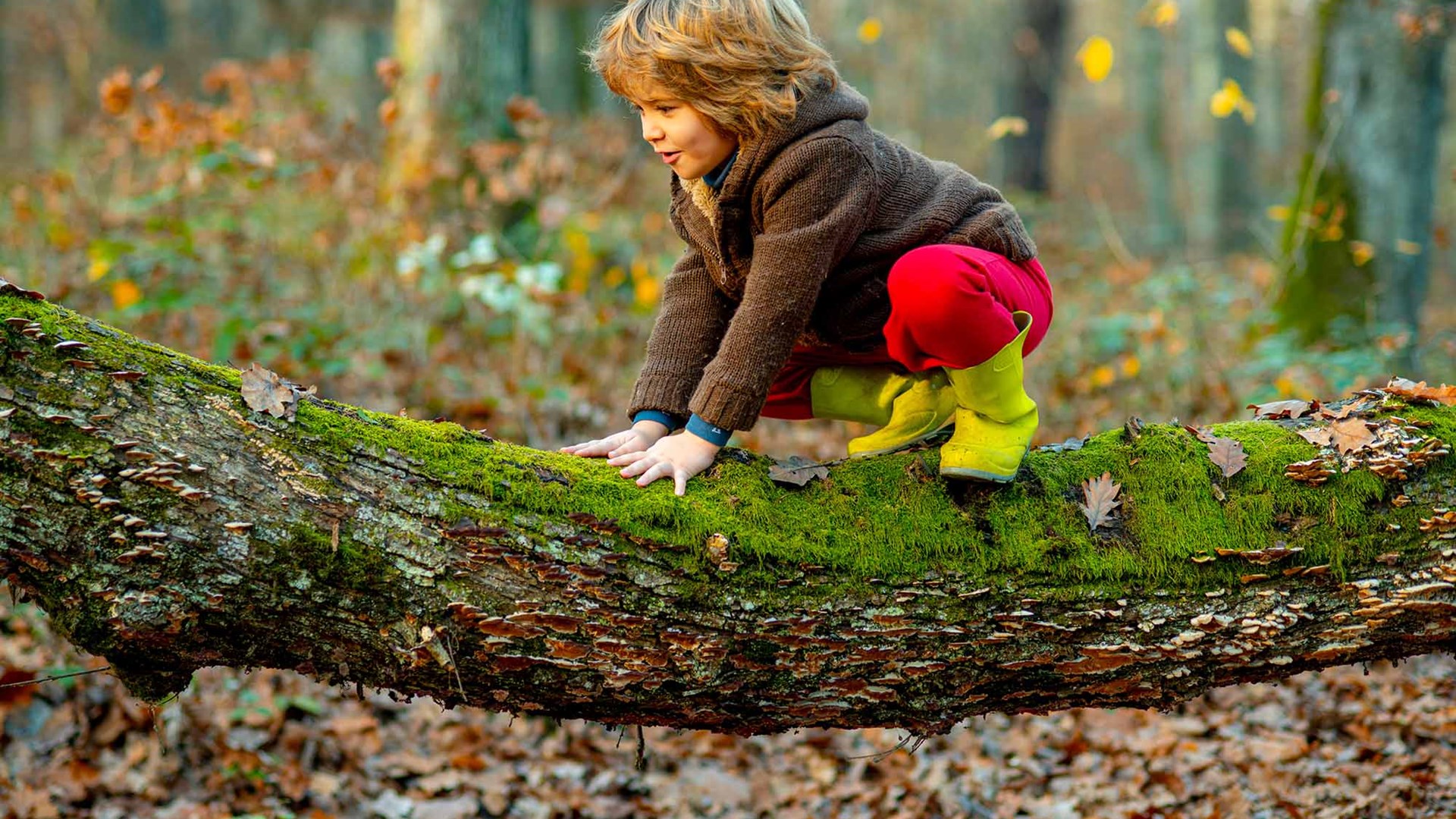 Child Climbing On A Tree